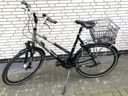 Fahrrad Kalkhoff , 28", unisex, Rahmenhöhe XL-60 cm, Nabendynamo, Shimano NEXUS-8-Gang-Schaltung mit Fahrradkorb - Oldenburg