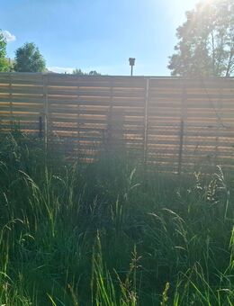 Verkaufen fast nagelneue Trennwand für den Garten! - Mühldorf (Inn)