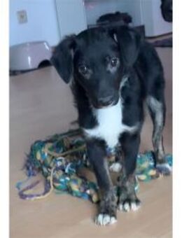 Tim - wartet in 33154 Salzkotten - Oberwies