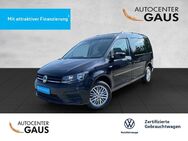 VW Caddy, 2.0 TDI Maxi Trendline, Jahr 2019 - Bielefeld