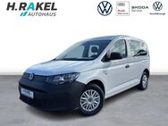 VW Caddy, 2.0 TDI Kombi, Jahr 2024 - Geeste