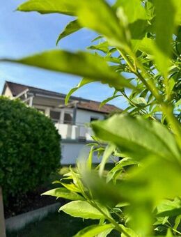 ALLES AUF EINER ETAGE ! Einfamilienhaus mit großem Garten in Bisingen zu vermieten - Bisingen