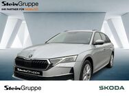 Skoda Octavia, 2.0 TDI Combi 110kW Selection, Jahr 2024 - Bergisch Gladbach