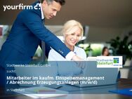 Mitarbeiter im kaufm. Einspeisemanagement / Abrechnung Erzeugungsanlagen (m/w/d) - Steinfurt