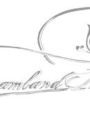 Auftragskomposition, Filmton, Sounddesign, Editing, Tonstudio in 90763