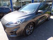 Ford Kuga 2.5 Duratec Plug-In Hybrid ST-Line X - Bad Oeynhausen