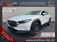 Mazda CX-30 SkyActiv-G 122 Selection | LED | HUD | - Bad Kreuznach