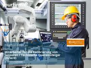 Mitarbeiter für die Kalibrierung von Sensoren / Technische Quereinsteiger (m/w/d) - Rheinmünster