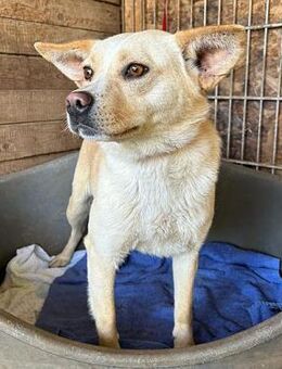 ❤️ zartes Pflänzchen LUNA ❤️ - Mamming