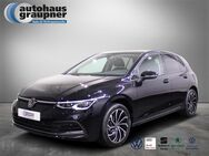 VW Golf, 2.0 l TDI Life, Jahr 2024 - Brandis