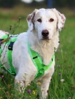 Frisko freut sich auf Sie! - Neuss