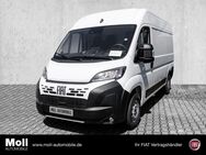 Fiat Ducato, 35 L2 H2 Kawa 140 City Plus-Visibility Paket, Jahr 2024 - Köln