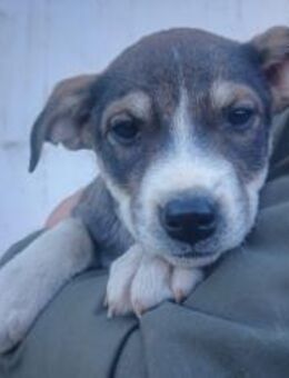 Jenni wartet auf dich! - München