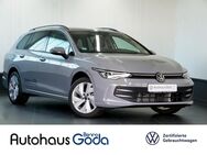 VW Golf Variant, 1.5 TSI Life, Jahr 2024 - Damme