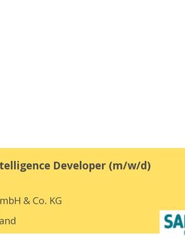 Business Intelligence Developer (m/w/d) - Berlin Mitte