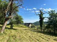 Idyllisches Grundstück SCHWARZWALDTRAUM in Hanglage am Ortstrand von Hofen, Steinen mit Weitblick - Steinen (Baden-Württemberg)