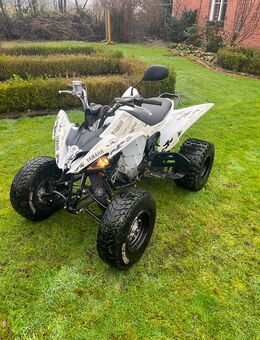 Yamaha Raptor 250 - Merzen