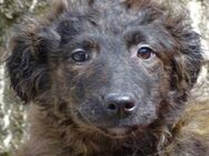 Baby MARLENE - Gefrees