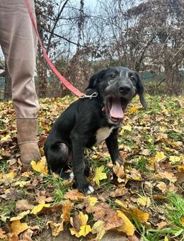 POLDI - gemeinsam die Welt erkunden - Overath