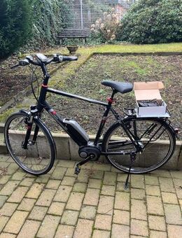 Herren E-Bike Pegasus Premio E8 F ( Freilauf ) 61 cm Rahmen - Bottrop Zentrum