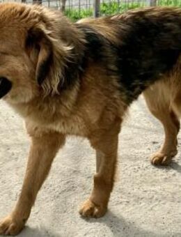 WERA - sportlich, freundlich - Weilheim (Oberbayern)