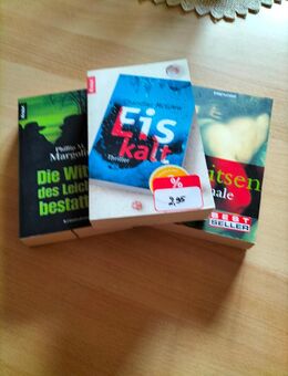 Romane und Bücher - Frankenblick