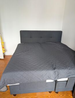 Boxspringbett - elektrisch höhenverstellbar - Flensburg - Flensburg