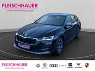 Skoda Octavia, 2.0 TDI Combi Scout, Jahr 2023 - Euskirchen