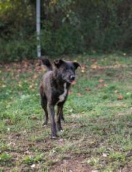 MATEO - bin ein Outdoor-Spezialist - Overath