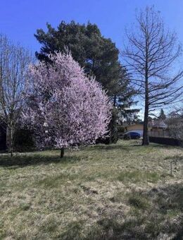 perfekt für Ihr Vorhaben - Baugrundstück und Ihr "Highline 5" - Oranienburg
