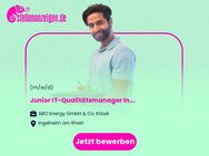 Junior IT-Qualitätsmanager (m/w/d) Informationssicherheit / IT-Sicherheitsaudit - Ingelheim (Rhein)