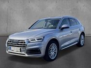 Audi Q5, 50 TDI quattro sport, Jahr 2020 - Warendorf