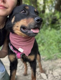 Megan- fröhlich, aktiv & menschenbezogen - Berlin