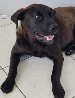 Iva - ein gutherziges Mädchen - Müglitztal