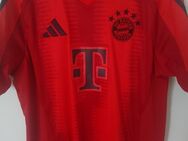 Orginal Fcb Trikot 24/25 Harry Kane - Berlin