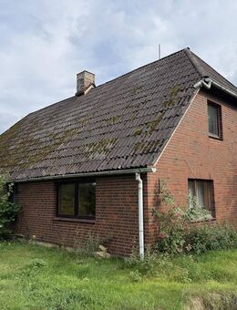 Ein Ort zum Ausleben - Göhrde