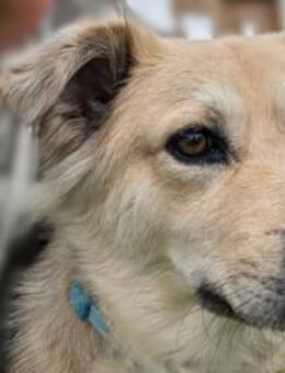 LunaLernwillig und mit viel Potential🩷 - München