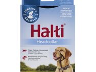 Halti Hunde-Kopfhalfter schwarz - Größe 3: Dobermann, Labrador, Setter