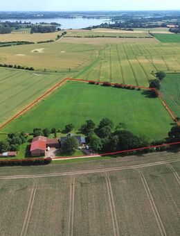 Charmanter Resthof mit Scheunen auf großzügigem Grundstück in ruhiger Alleinlage in Steinfeld - Steinfeld (Schleswig-Holstein)