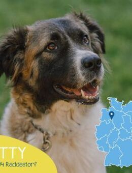 Süße Betty sucht souveräne Menschen - Tarmstedt