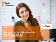 Mitarbeiter im Vertrieb (m/w/d) für Lead-Generierung und Kundenqualifizierung - Gütersloh