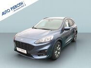 Ford Kuga, 2.5 Duratec FHEV ST-LINE X, Jahr 2024 - Bingen (Rhein)