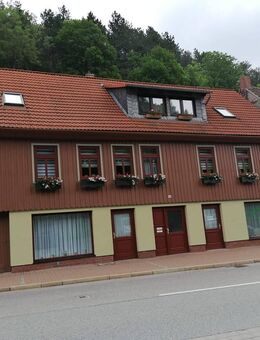 2 Familienhaus mit Ferienwohnung - Blankenburg (Harz)