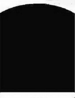 Bodenschutzplatte Heathus Segment 100 Stahl, 1-St., Stahl-Segment 100 x 120 cm, 2mm Stärke, schwarz, zum Funkenschutz