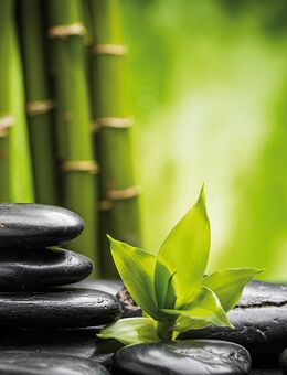 Neueröffnung! Chinesische Gesundheits- u. Wellnessmassageparxix Julie, TCM - Essen