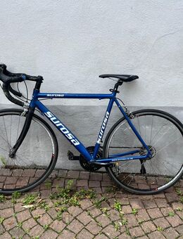 Rennrad - Remagen