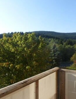 Schöne 3-Raum Wohnung in Oberwiesenthal-auf Wunsch mit Einbauküche - Oberwiesenthal