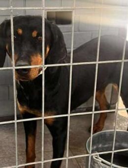 ZARA - wann darf sie ankommen? - Aerzen