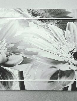 Wandbild Sonnenblumen-Blüten s/w 120x60 cm - Geilenkirchen