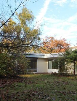 Ebenerdiges Wohnen! Bungalow in guter Lage - Darmstadt